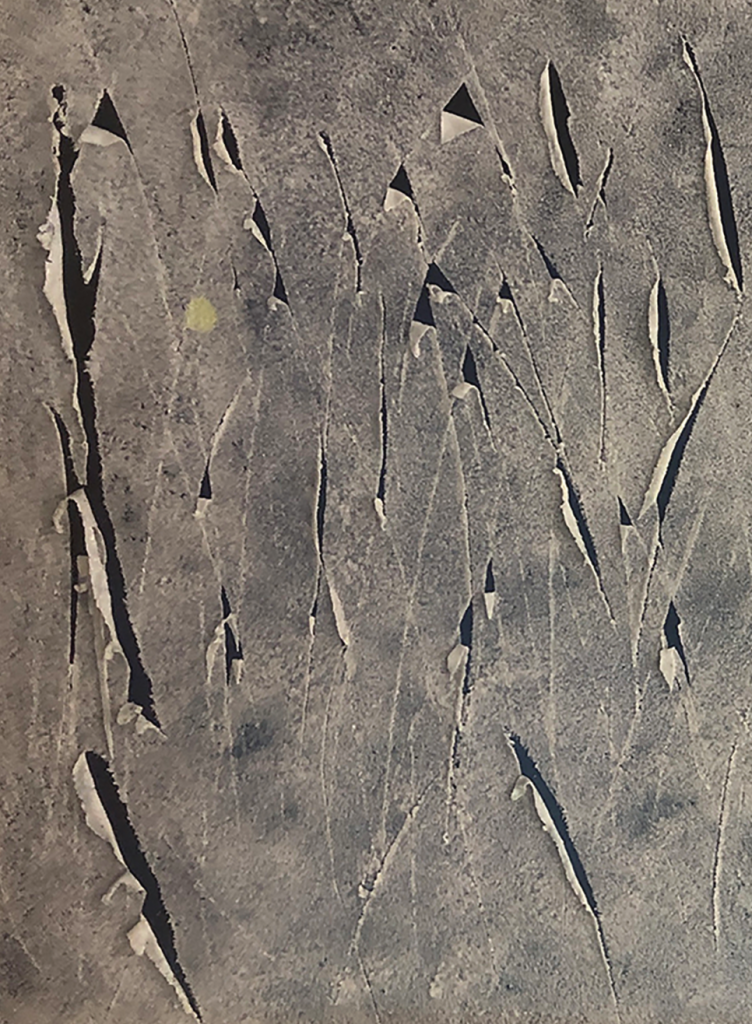 acd5a5e76a4ed7ec9056bb0933ff09ffac74b399